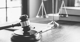 Expert Witnesses / Legal Testimony